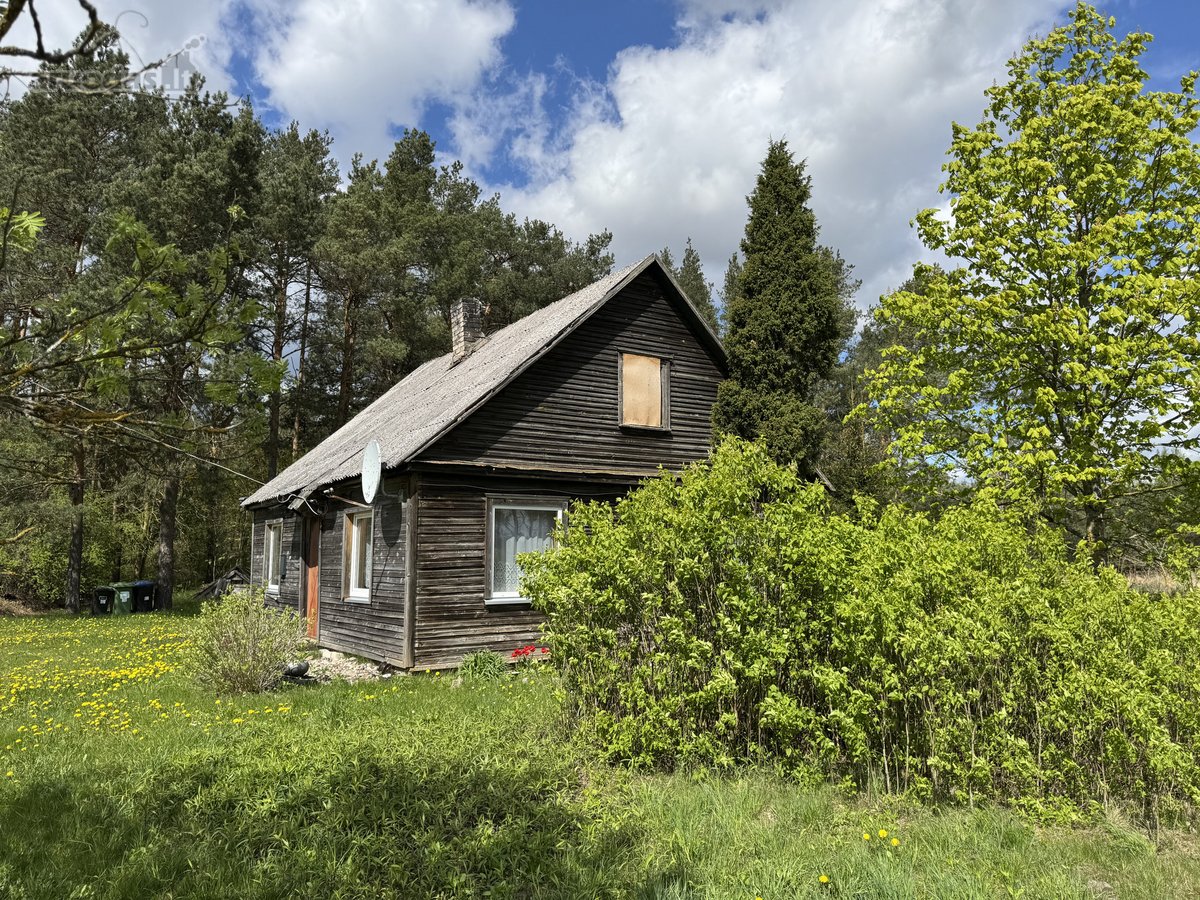 Gamtos apsuptyje, šalia gražaus pušyno, - nuotraukos Nr. 5