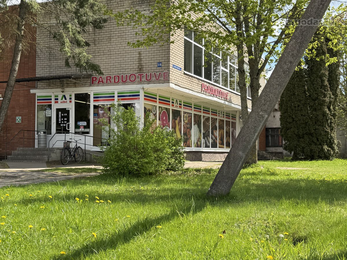 Gamtos apsuptyje, šalia gražaus pušyno, - nuotraukos Nr. 25