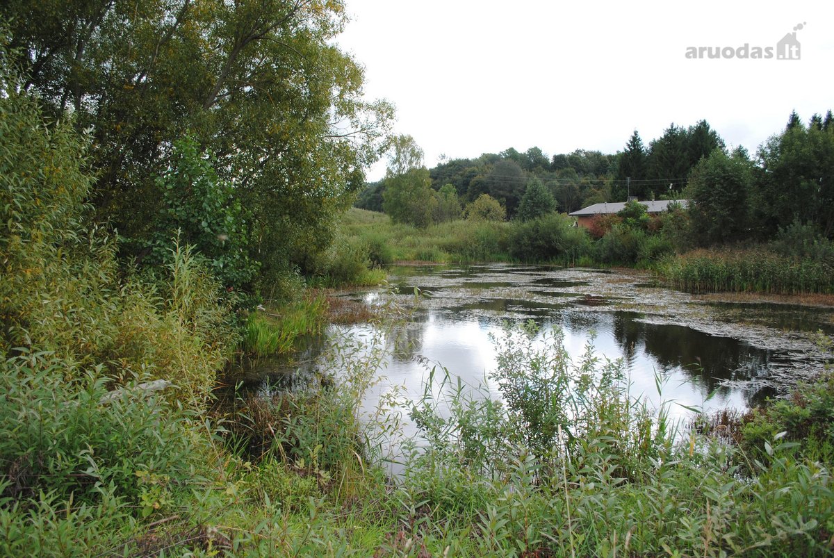 Vaizdingoje Vietoje Parduodamas 50 Arų Sklypas. - nuotraukos Nr. 23