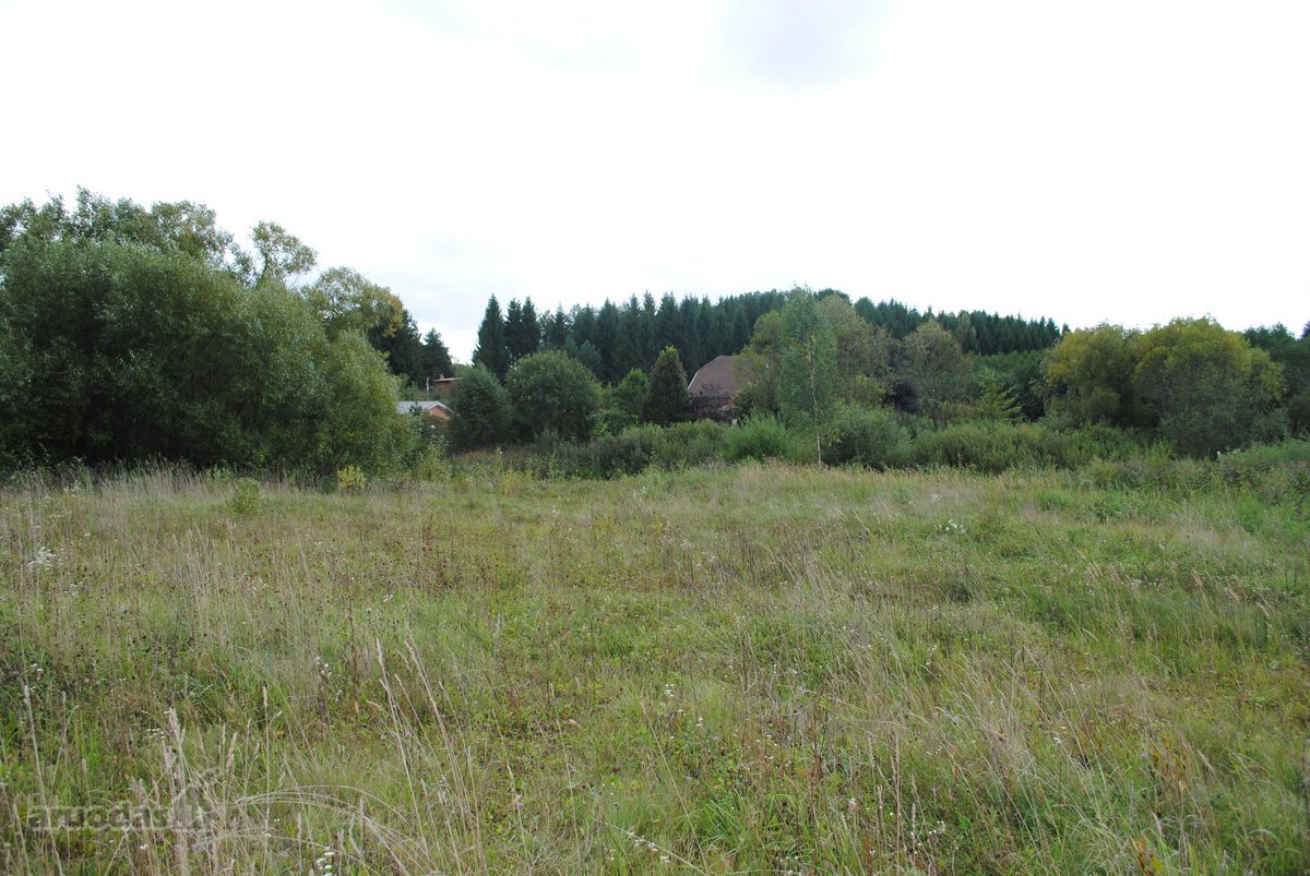 Vaizdingoje Vietoje Parduodamas 50 Arų Sklypas. - nuotraukos Nr. 25