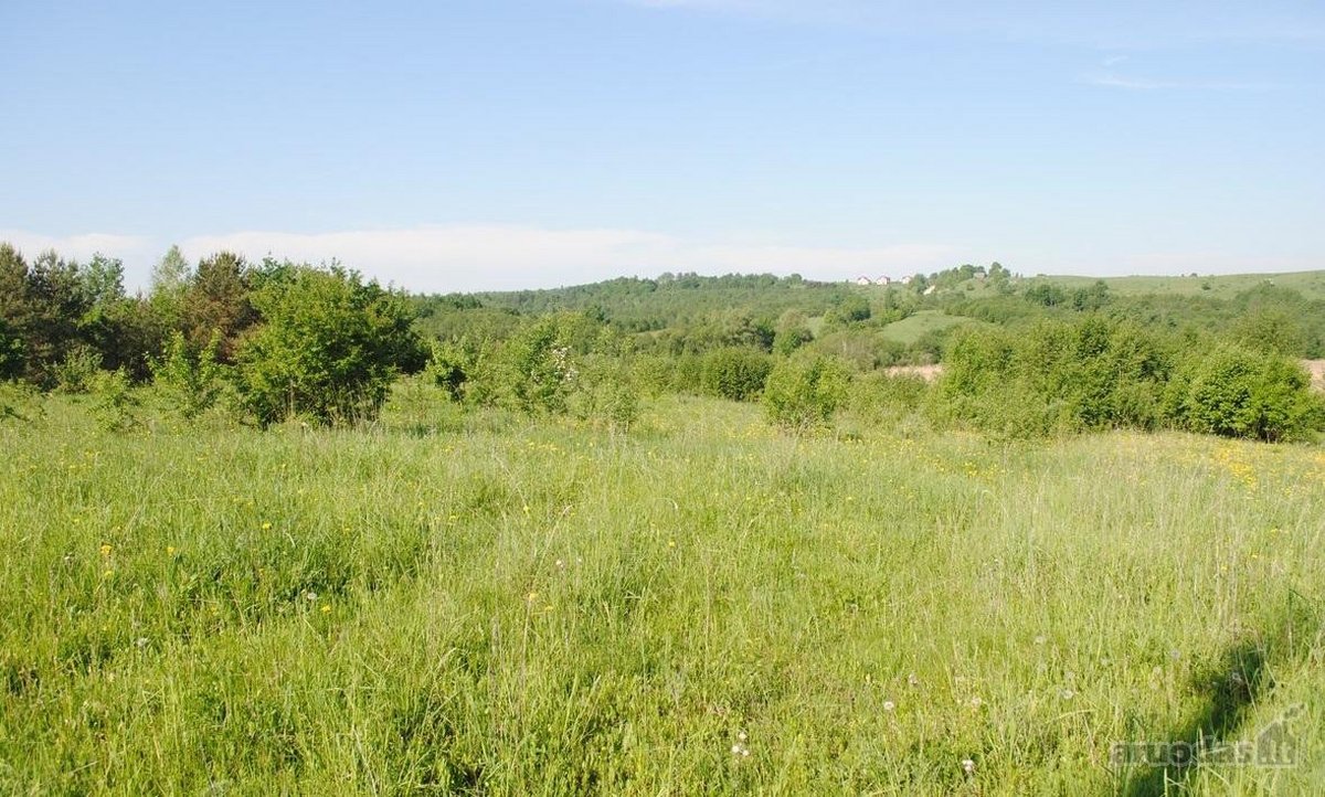 Vaizdingoje Vietoje Parduodamas 13,23 Arų - nuotraukos Nr. 2