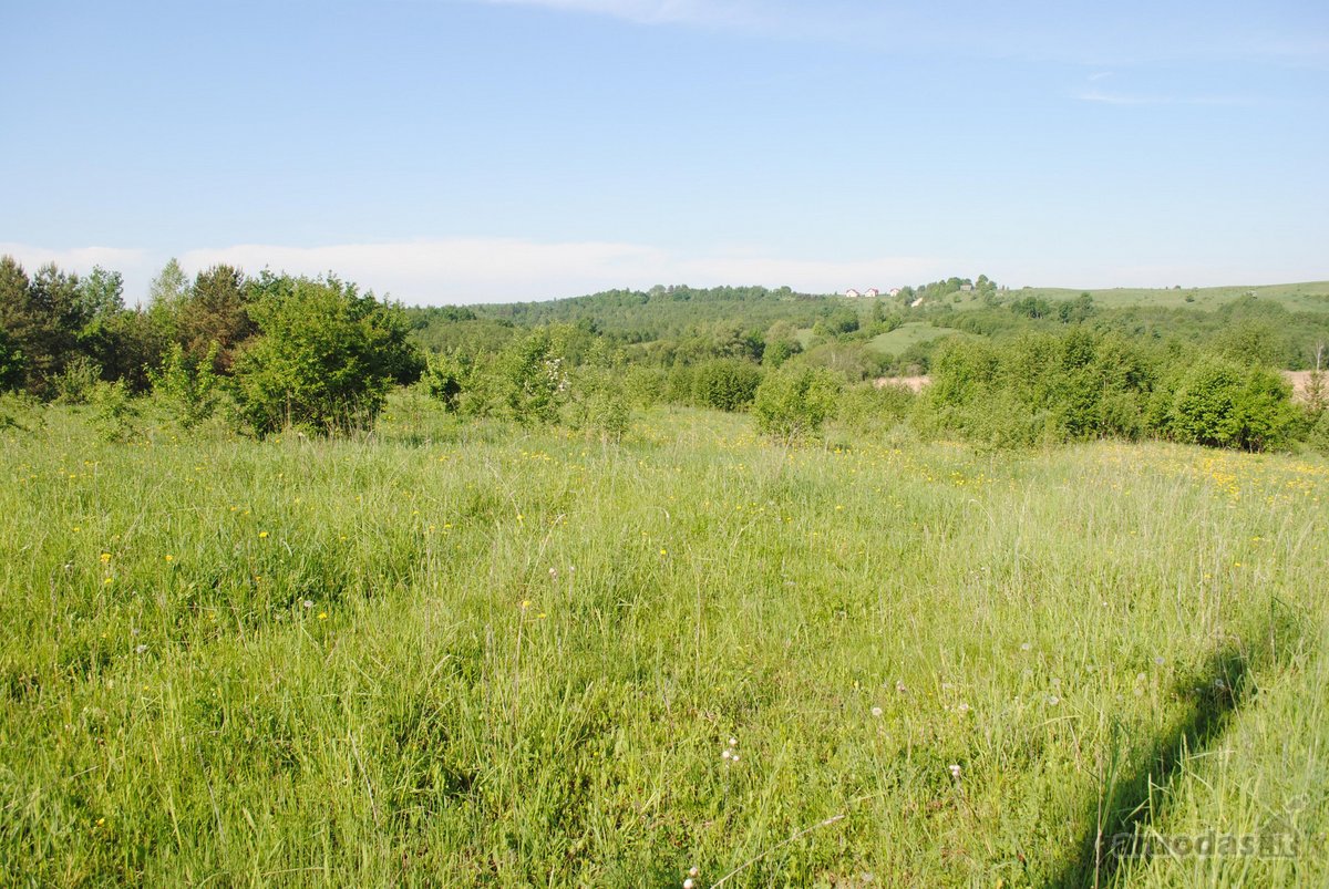 Vaizdingoje Vietoje Parduodamas 13,23 Arų - nuotraukos Nr. 7
