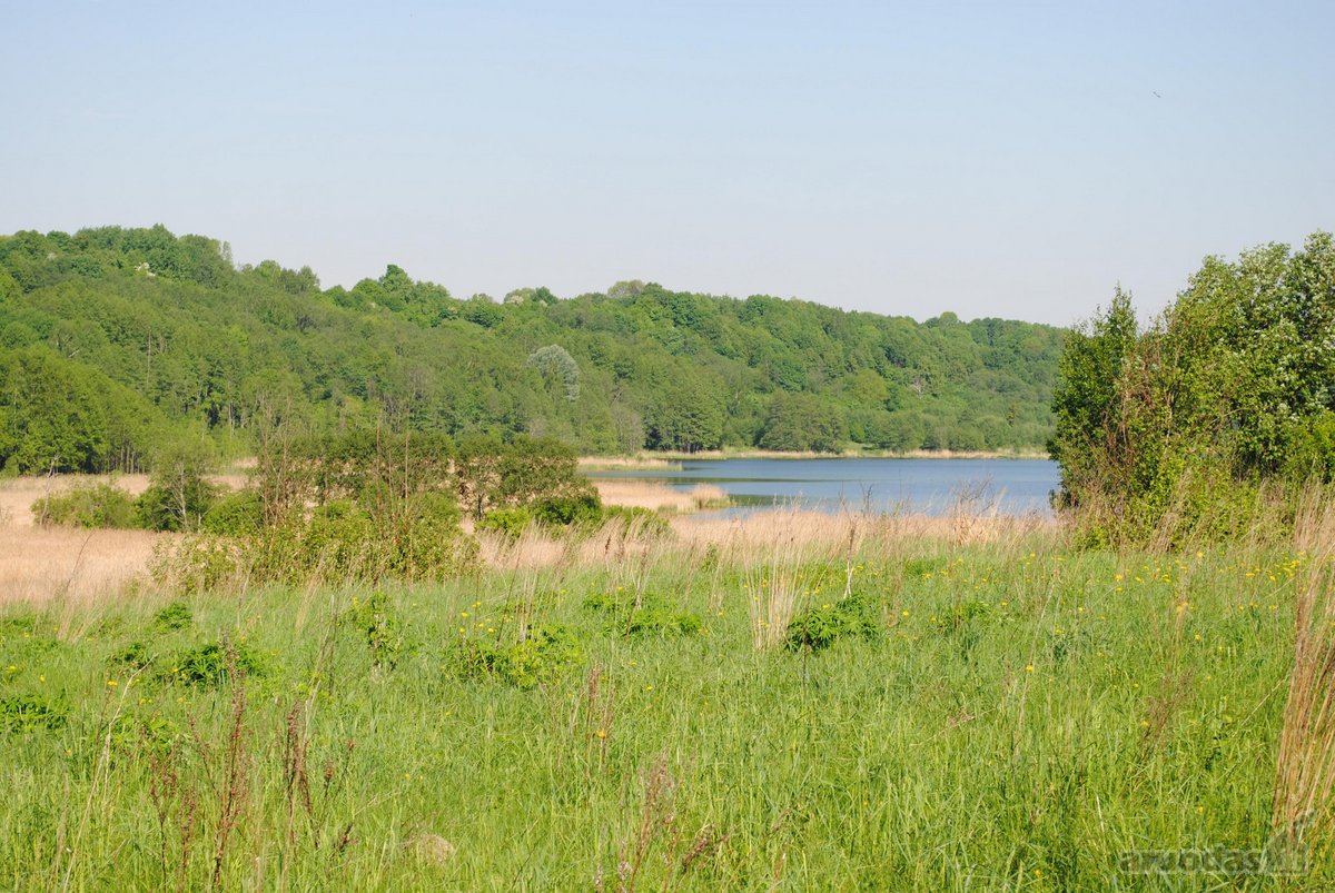 Vaizdingoje Vietoje Parduodamas 13,23 Arų - nuotraukos Nr. 9