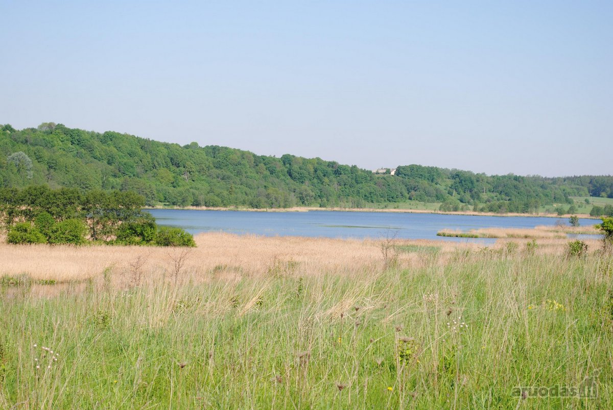 Vaizdingoje Vietoje Parduodamas 13,23 Arų - nuotraukos Nr. 12