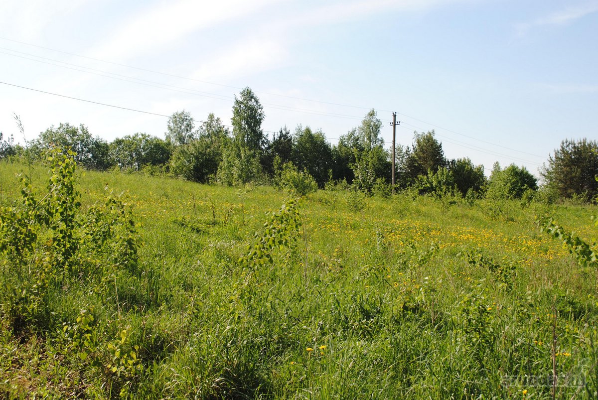 Vaizdingoje Vietoje Parduodamas 13,23 Arų - nuotraukos Nr. 14