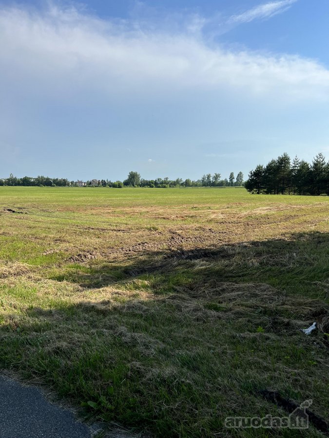 Parduodami namų valdos sklypai Vyčių kaime – - nuotraukos Nr. 4