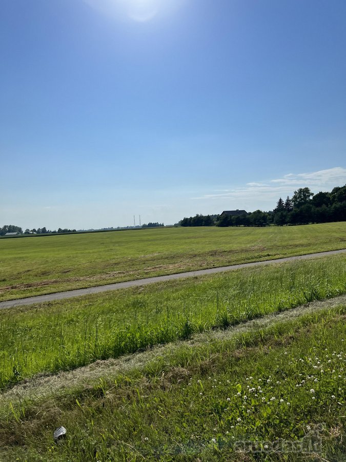 Parduodami namų valdos sklypai Vyčių kaime – - nuotraukos Nr. 6