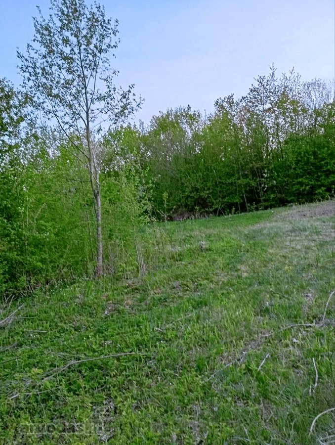 Parduodamas Sklypas Sode Trakų Rajone – Namų - nuotraukos Nr. 2