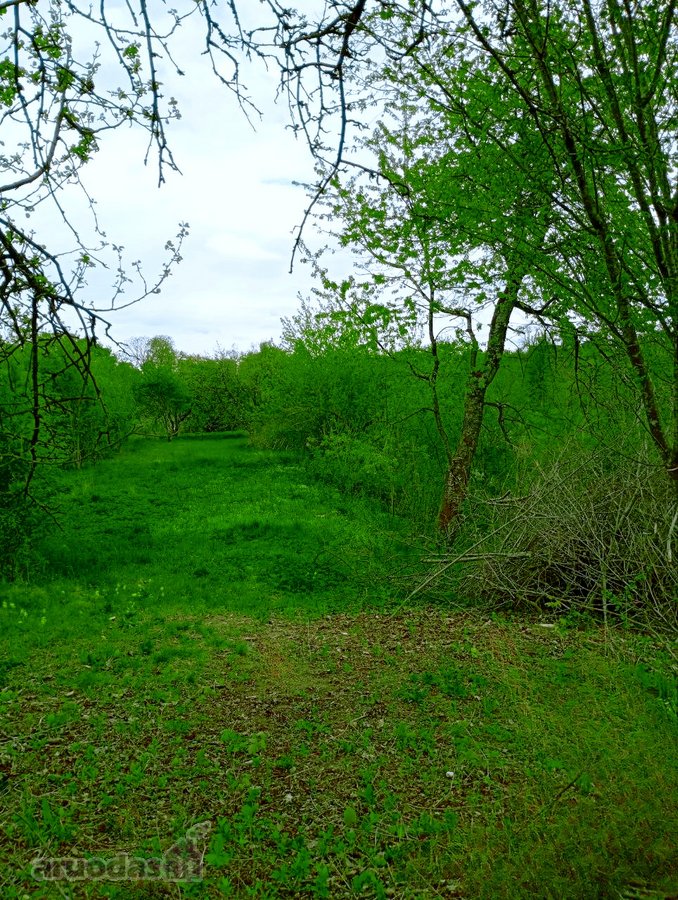 Parduodamas Sklypas Sode Trakų Rajone – Namų - nuotraukos Nr. 3