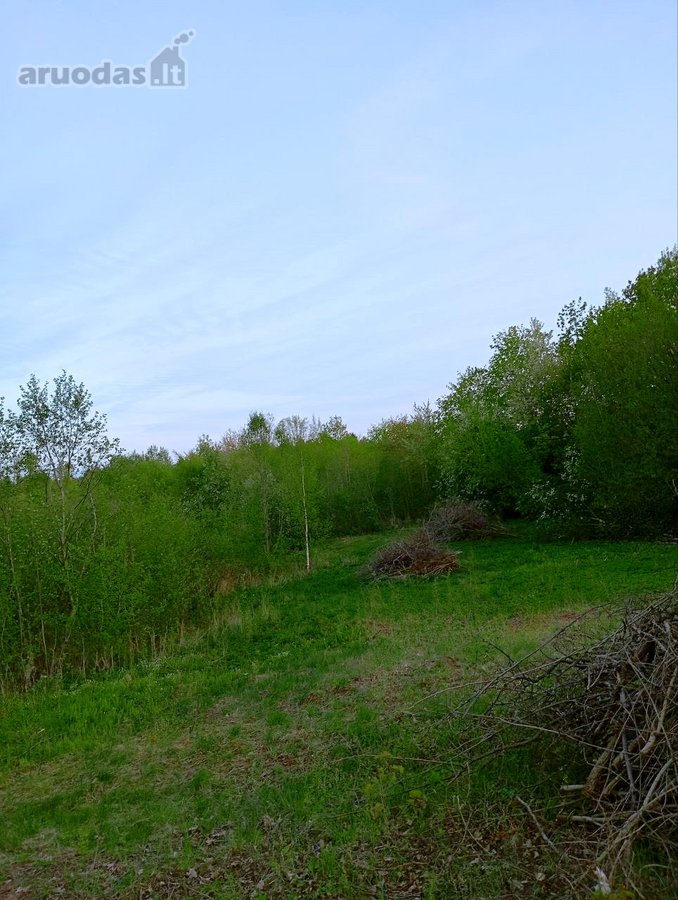 Parduodamas Sklypas Sode Trakų Rajone – Namų - nuotraukos Nr. 4