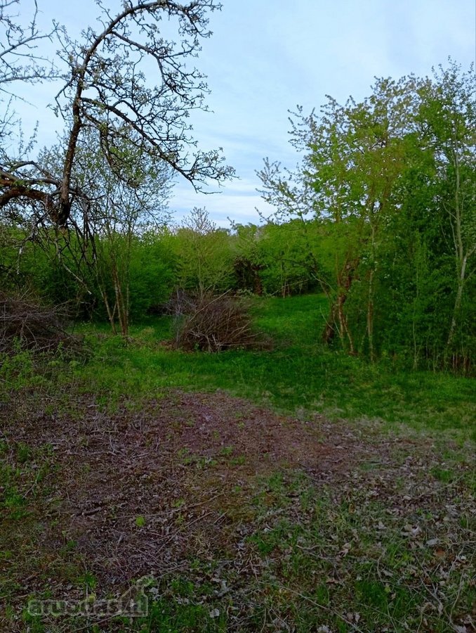 Parduodamas Sklypas Sode Trakų Rajone – Namų - nuotraukos Nr. 5