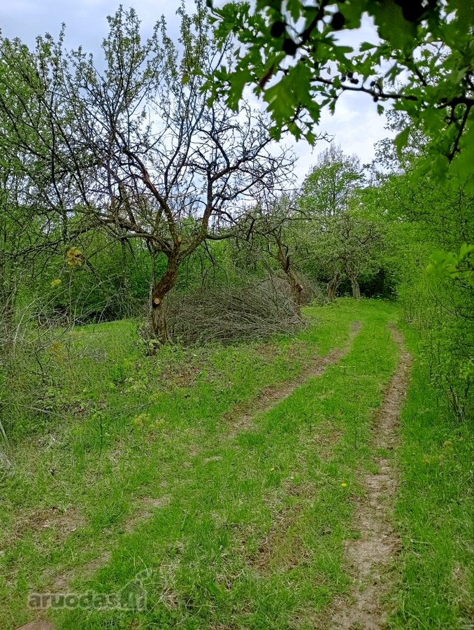 Parduodamas Sklypas Sode Trakų Rajone – Namų - nuotraukos Nr. 6