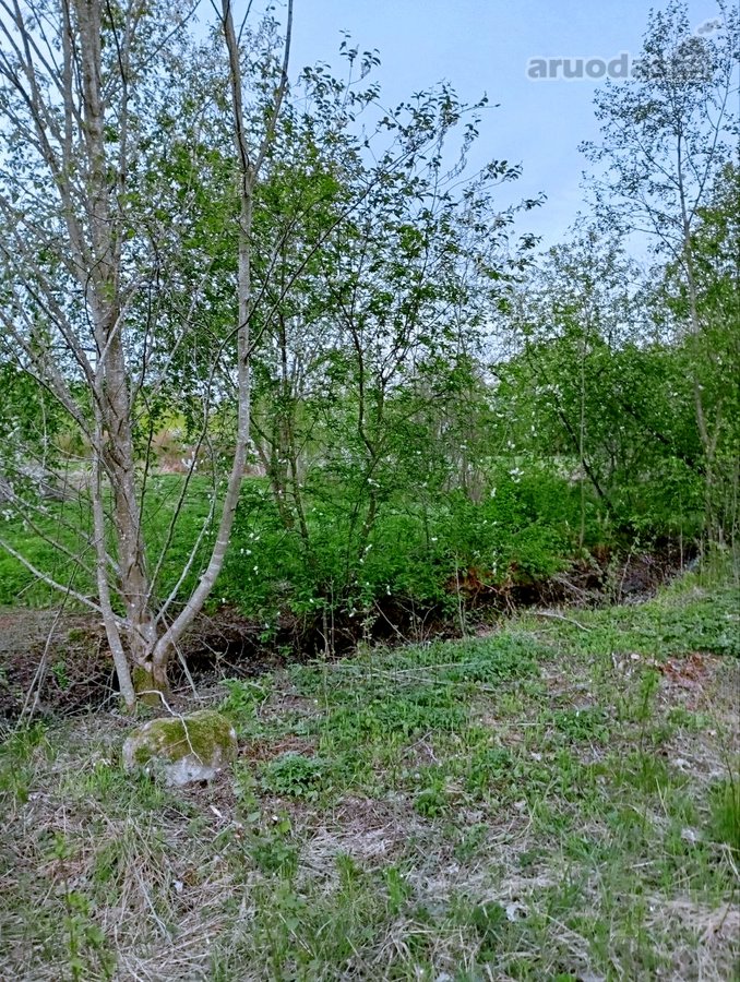Parduodamas Sklypas Sode Trakų Rajone – Namų - nuotraukos Nr. 7