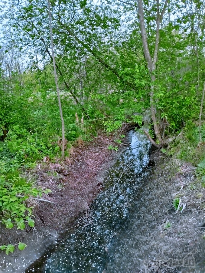 Parduodamas Sklypas Sode Trakų Rajone – Namų - nuotraukos Nr. 8