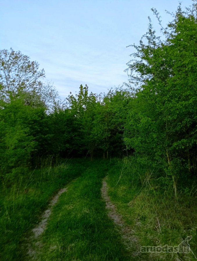 Parduodamas Sklypas Sode Trakų Rajone – Namų - nuotraukos Nr. 10