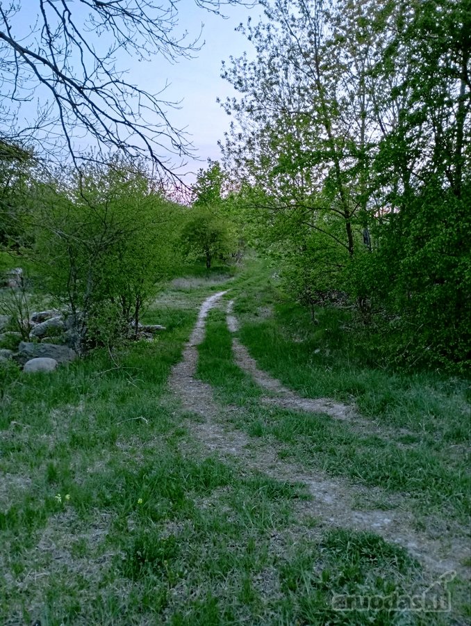 Parduodamas Sklypas Sode Trakų Rajone – Namų - nuotraukos Nr. 11