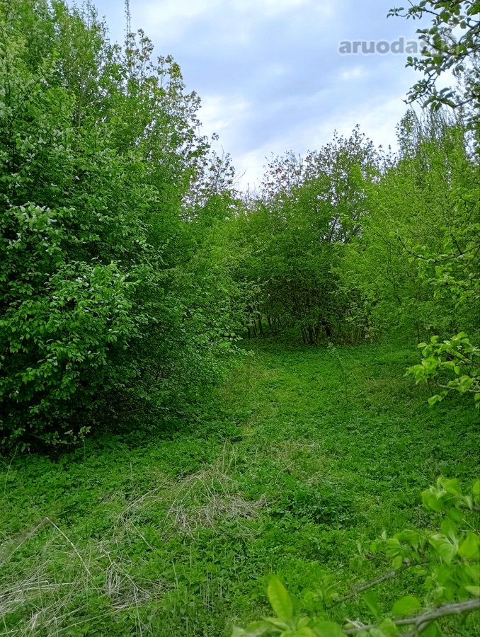 Parduodamas Sklypas Sode Trakų Rajone – Namų