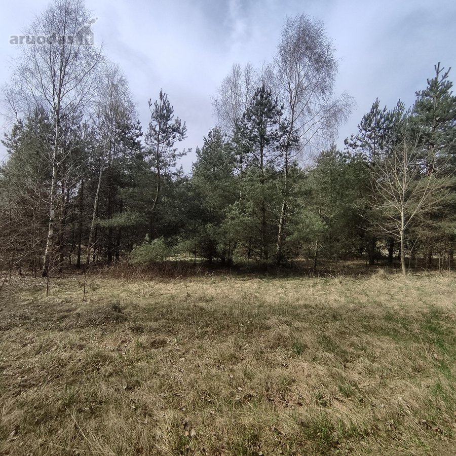 Vilniaus rajone, Riešės seniūnijoje, - nuotraukos Nr. 3