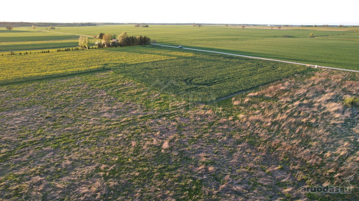 Parduodamas namų valdos sklypas15 arų šalia - nuotraukos Nr. 11