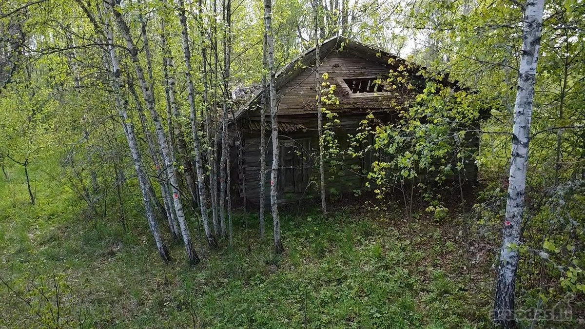 Parduodamas 7,10 Ha Žemės Sklypas Ignalinos - nuotraukos Nr. 4