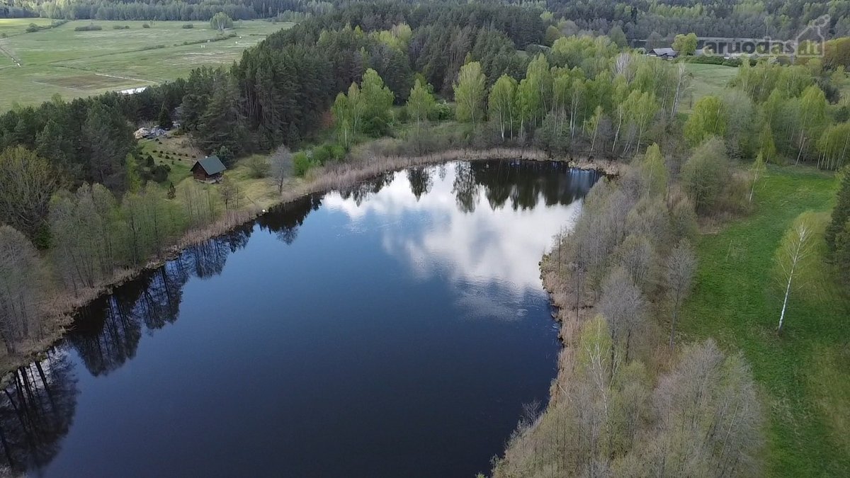 Parduodamas 7,10 Ha Žemės Sklypas Ignalinos - nuotraukos Nr. 2