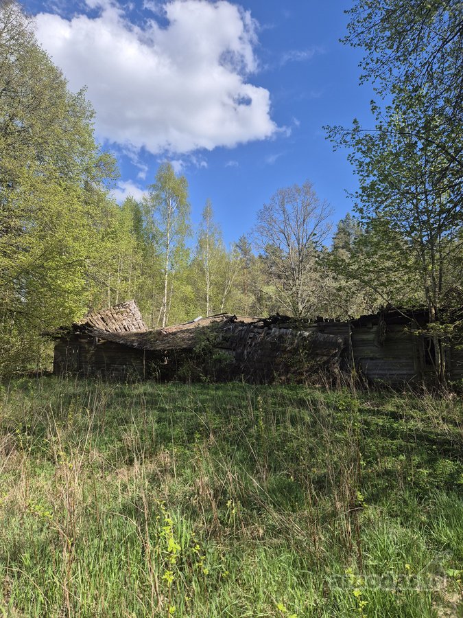 Parduodamas 7,10 Ha Žemės Sklypas Ignalinos - nuotraukos Nr. 5