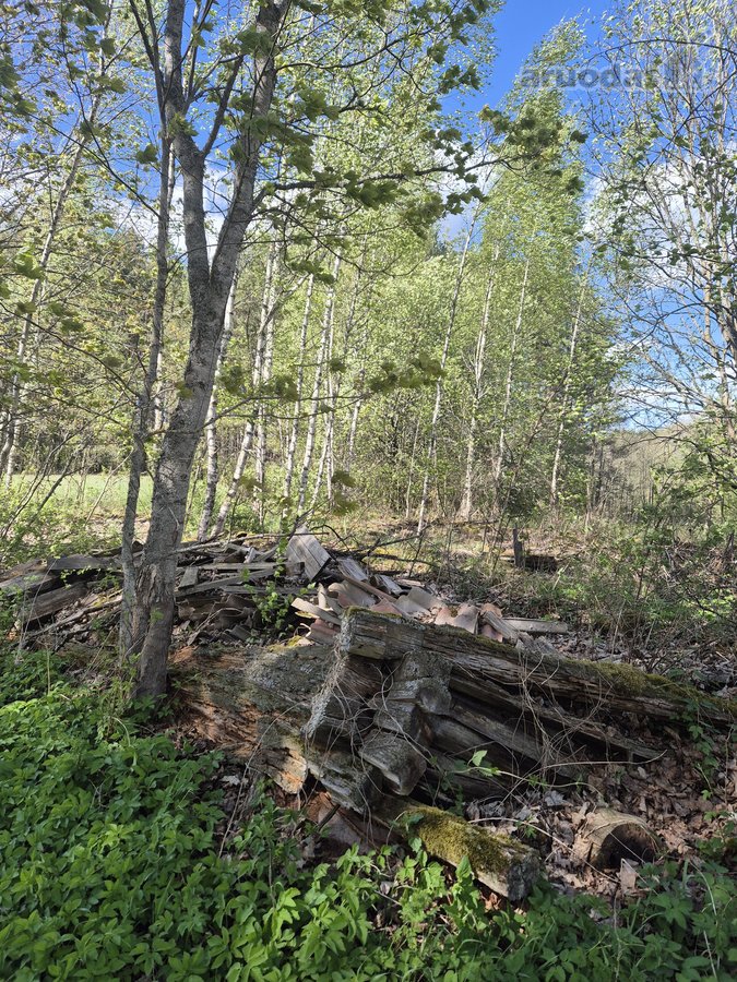 Parduodamas 7,10 Ha Žemės Sklypas Ignalinos - nuotraukos Nr. 7