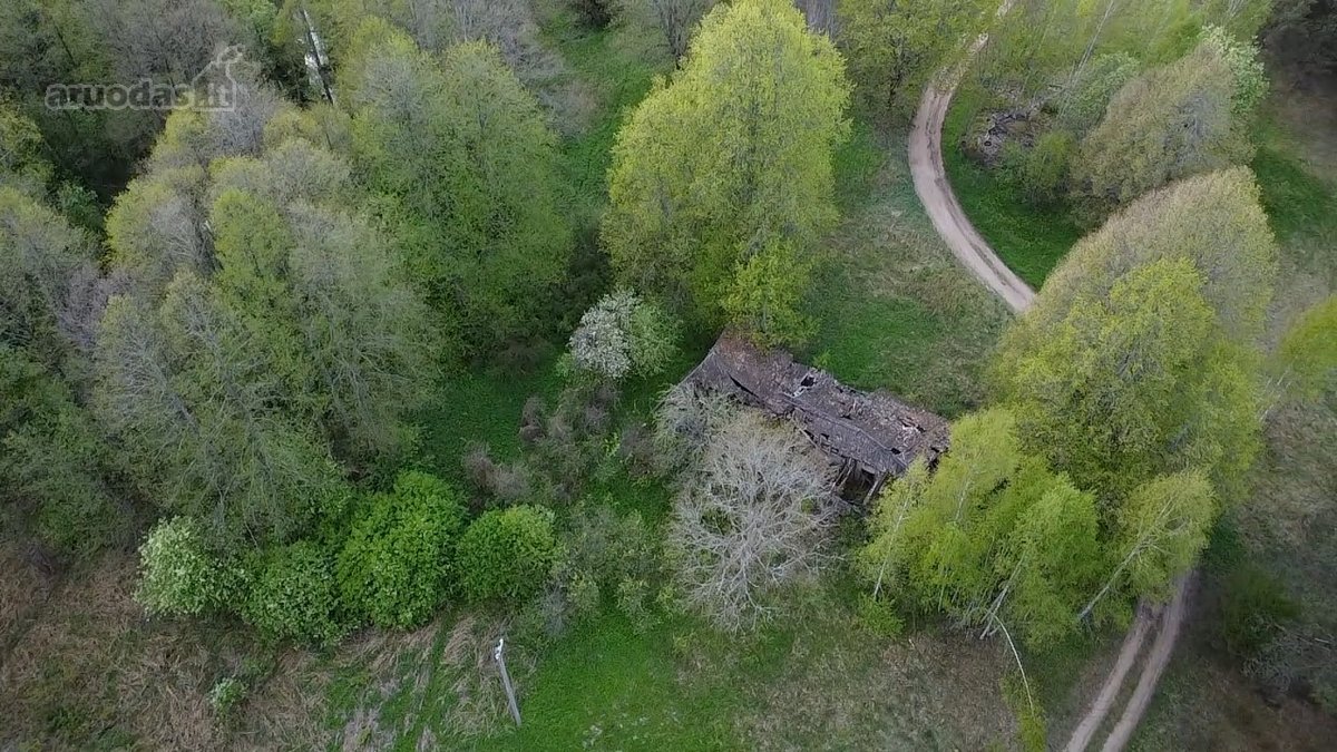 Parduodamas 7,10 Ha Žemės Sklypas Ignalinos - nuotraukos Nr. 10