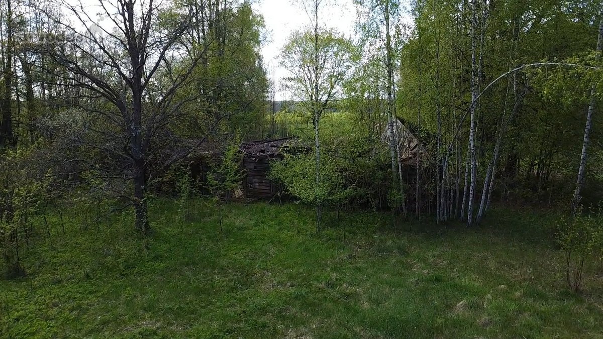 Parduodamas 7,10 Ha Žemės Sklypas Ignalinos - nuotraukos Nr. 8