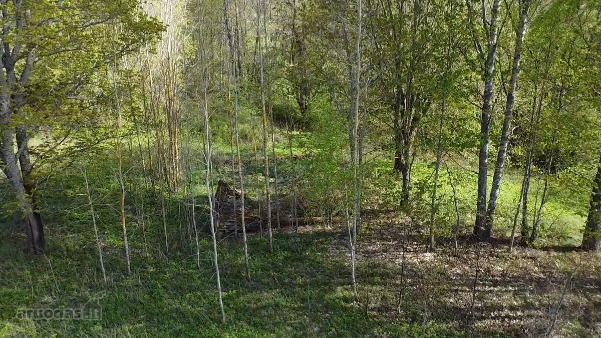 Parduodamas 7,10 Ha Žemės Sklypas Ignalinos - nuotraukos Nr. 9