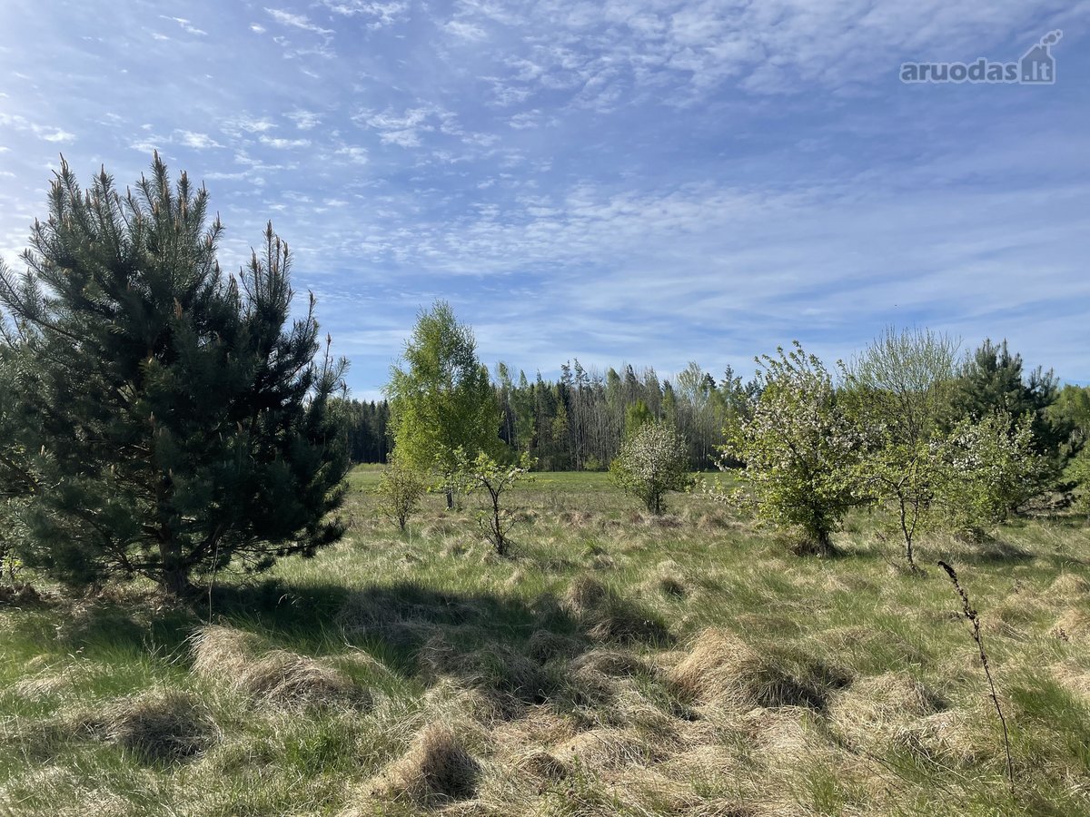 Parduodamas 1,34 hektaro žemės ūkio - nuotraukos Nr. 4