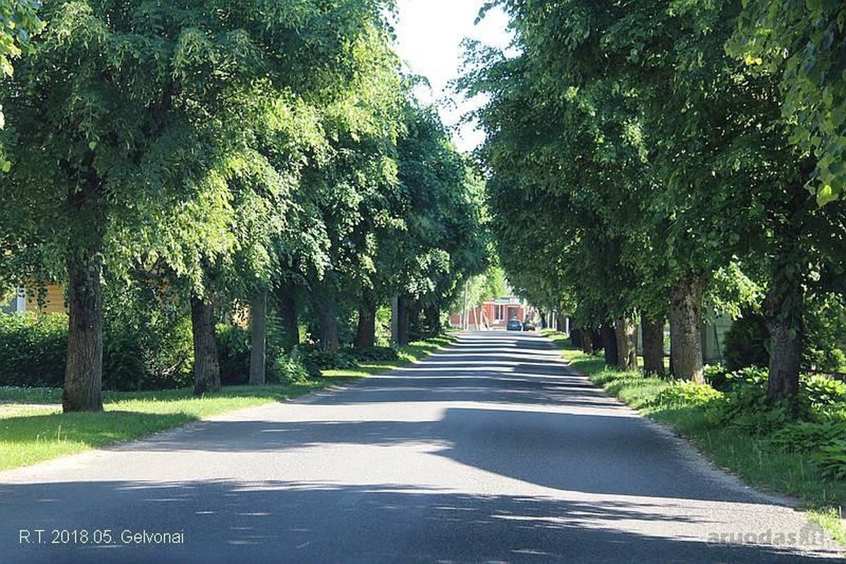 Parduodamas sklypas Gelvonų miestelio centre - nuotraukos Nr. 11