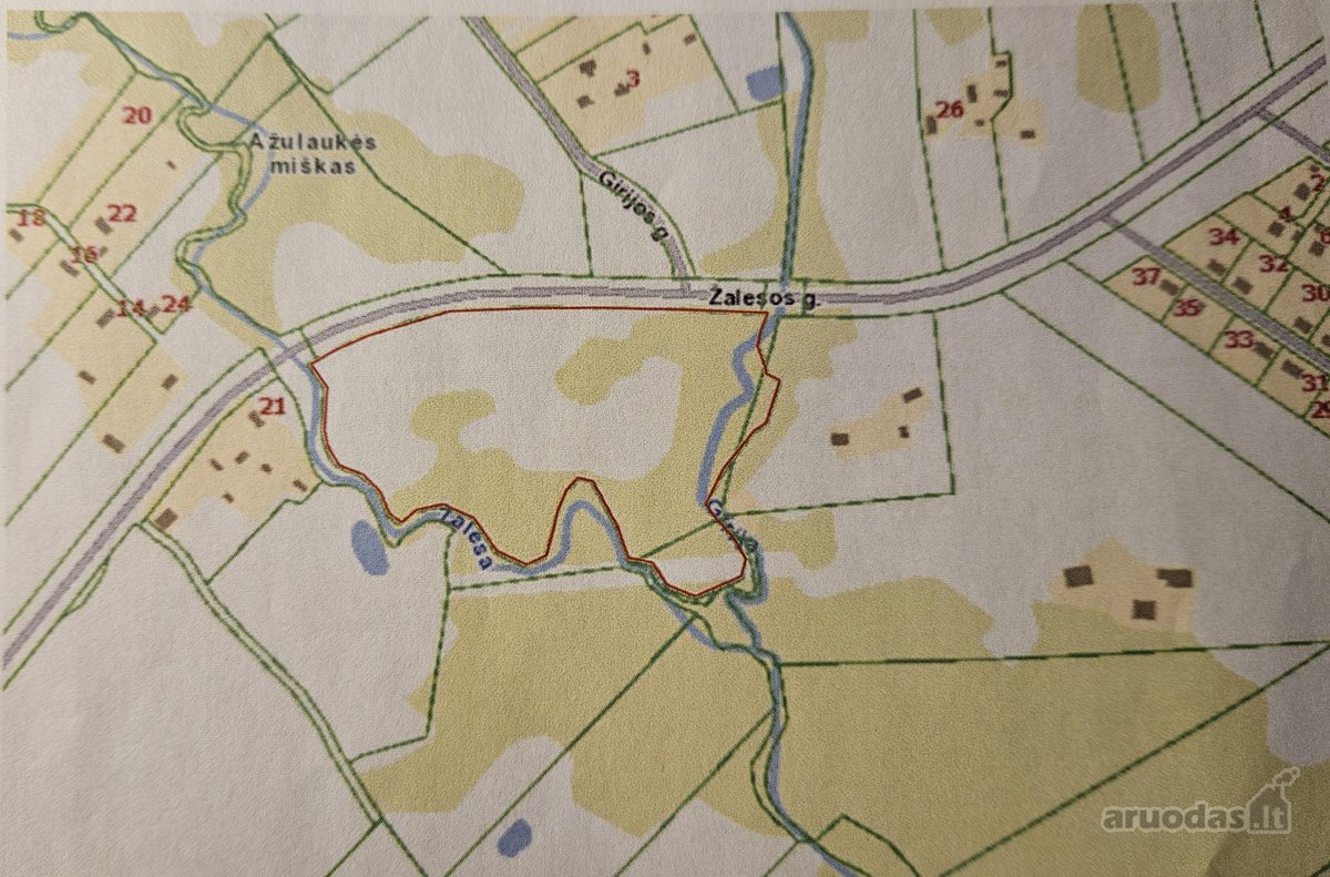 Labai geroje vietoje, gamtos apsuptyje, - nuotraukos Nr. 4