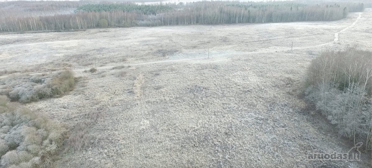 Investicinis Projektas Lietuvoje – 175 Ha - nuotraukos Nr. 14