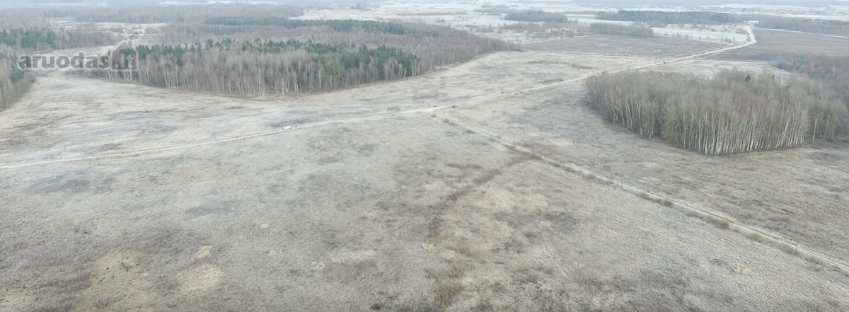 Investicinis Projektas Lietuvoje – 175 Ha - nuotraukos Nr. 16
