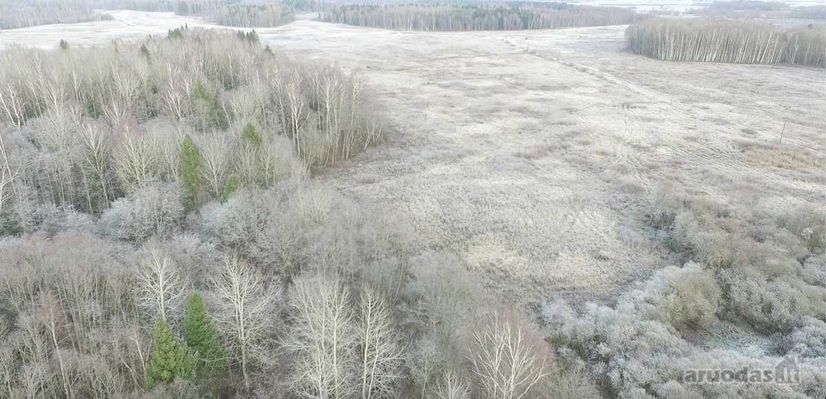 Investicinis Projektas Lietuvoje – 175 Ha - nuotraukos Nr. 18