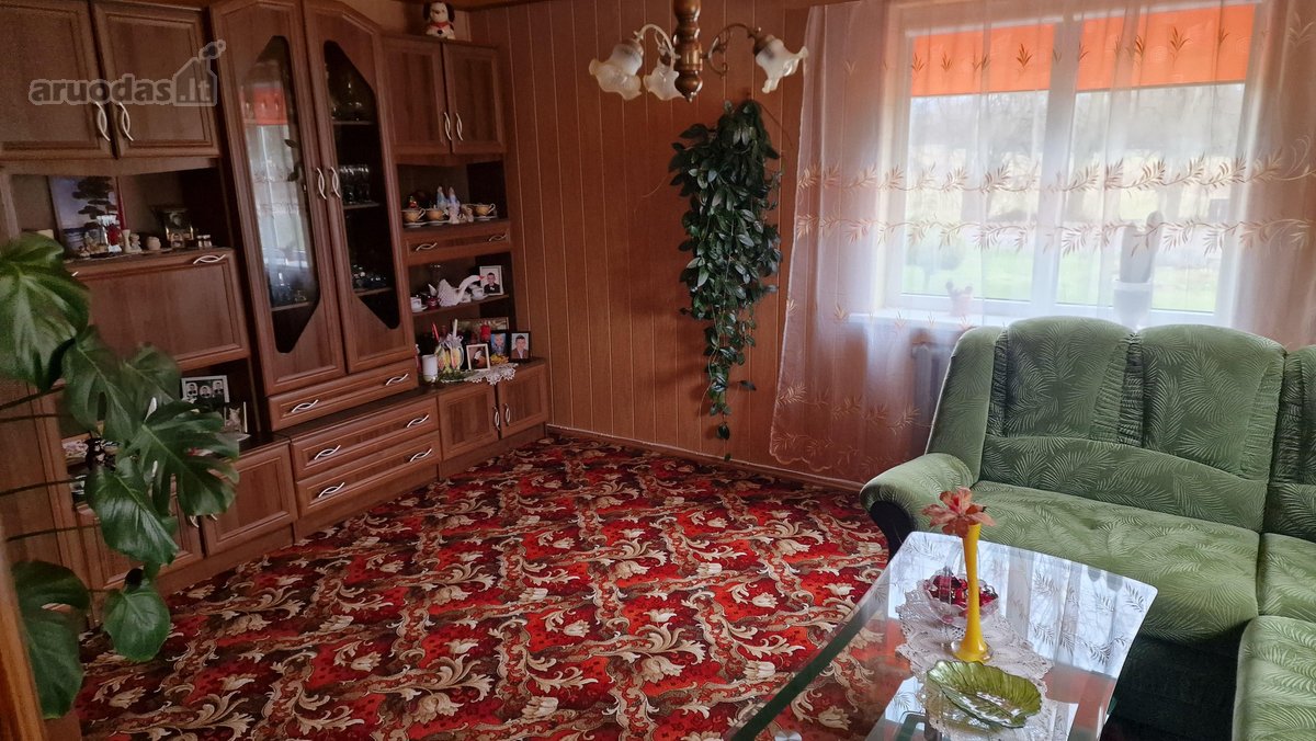 Parduodama išpuoselėta sodyba su erdviu namu, - nuotraukos Nr. 17