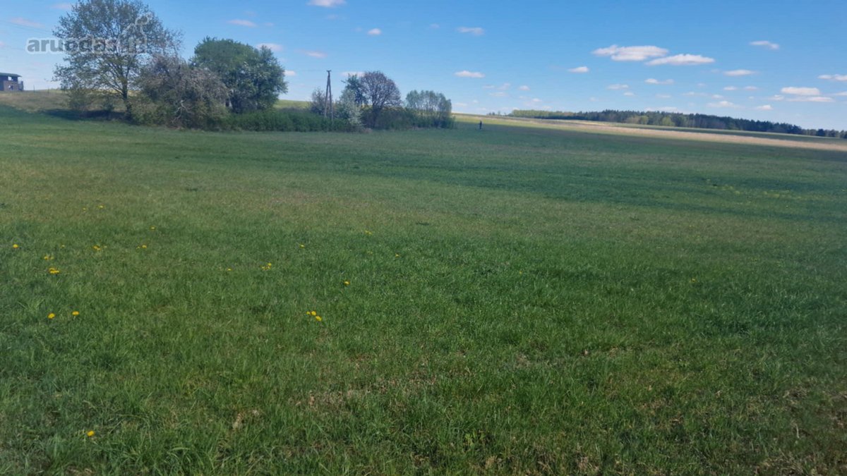 Parduodamas namų valdos ir žemės ūkio