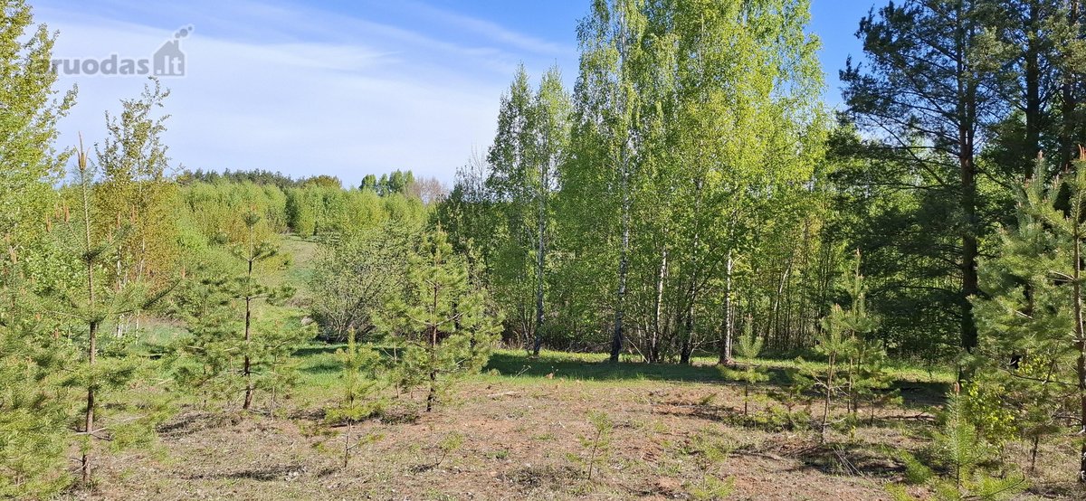 Sklypai Unikalaus Namų Kvartalo Vystymui - nuotraukos Nr. 7