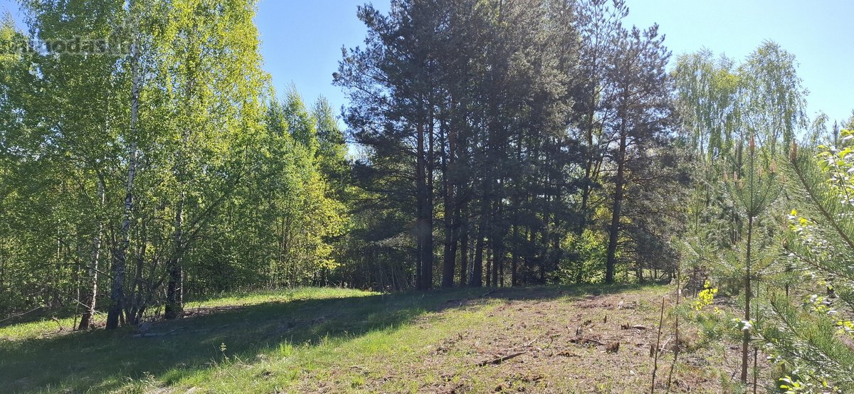 Sklypai Unikalaus Namų Kvartalo Vystymui - nuotraukos Nr. 8