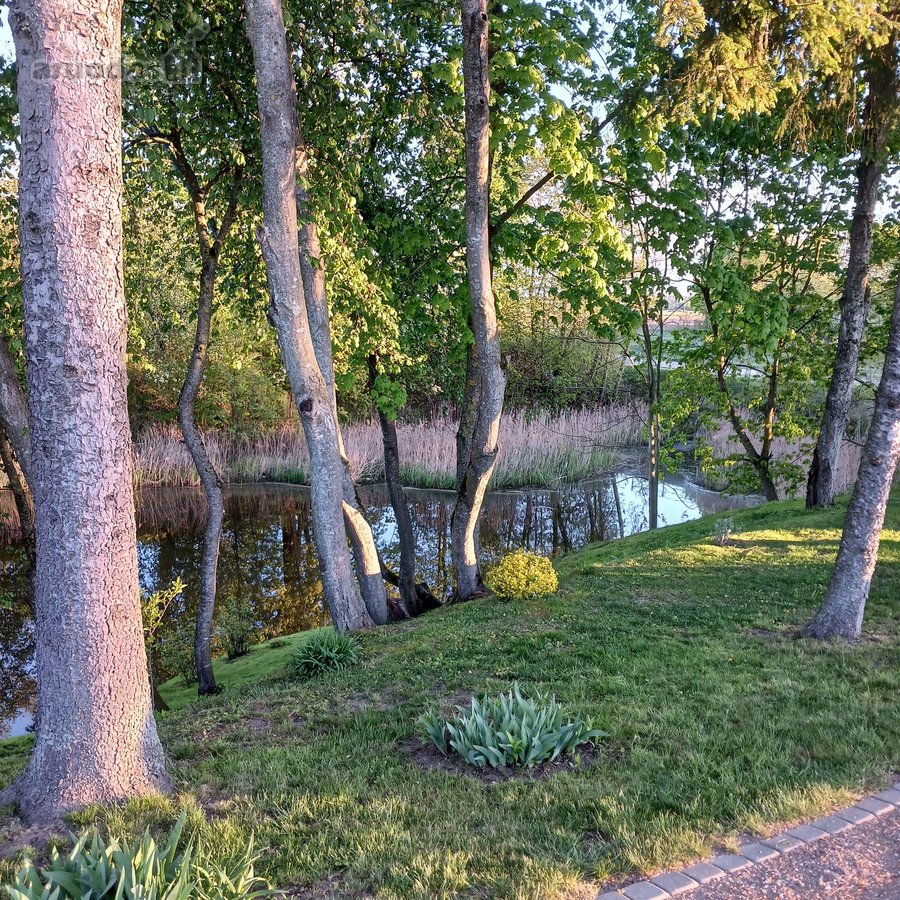 Sklypas sodų bendrijoje "Širvinta", Prie Pat - nuotraukos Nr. 12