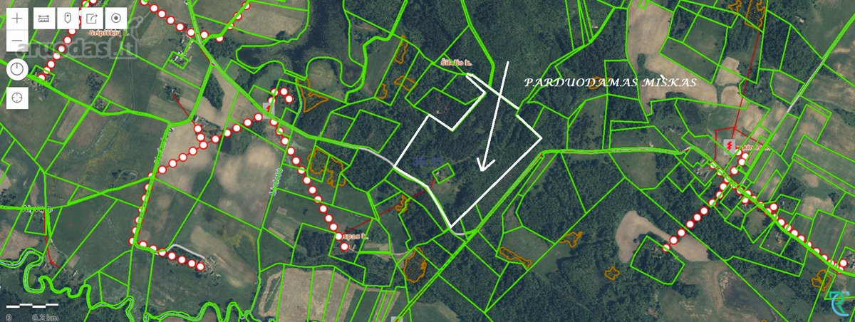 Parduodamas 33,850 ha, miško ūkio sklypas. - nuotraukos Nr. 5