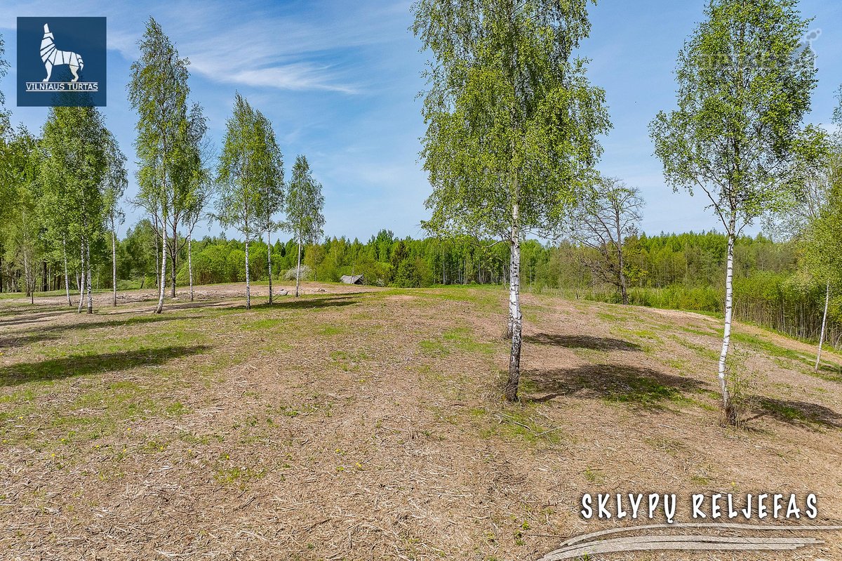 Nuostabus Pasiūlymas Įsigyti Namų Valdas Ir - nuotraukos Nr. 7