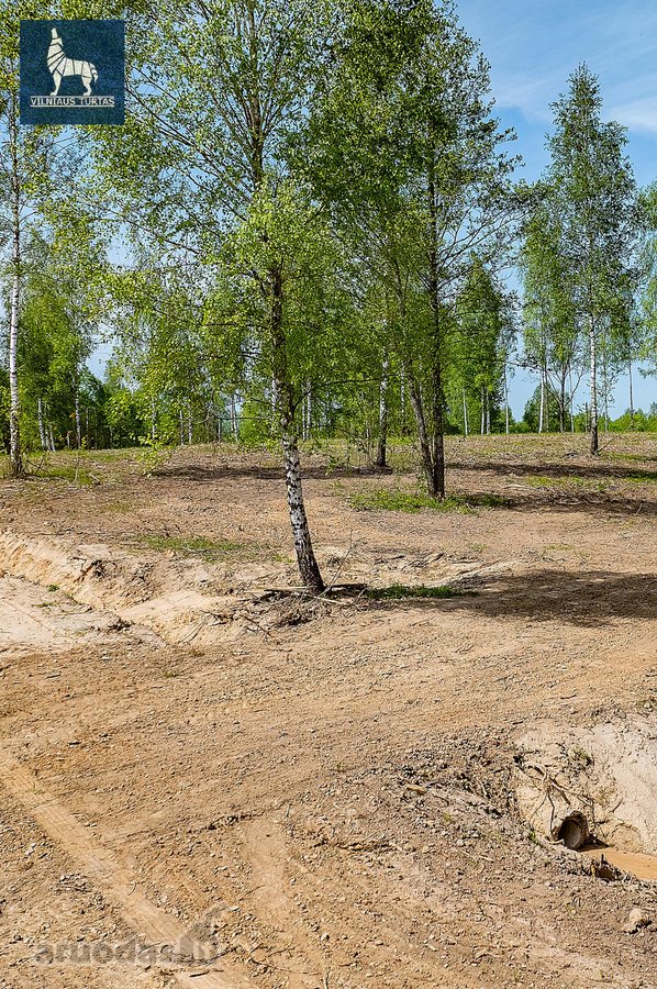 Nuostabus Pasiūlymas Įsigyti Namų Valdas Ir