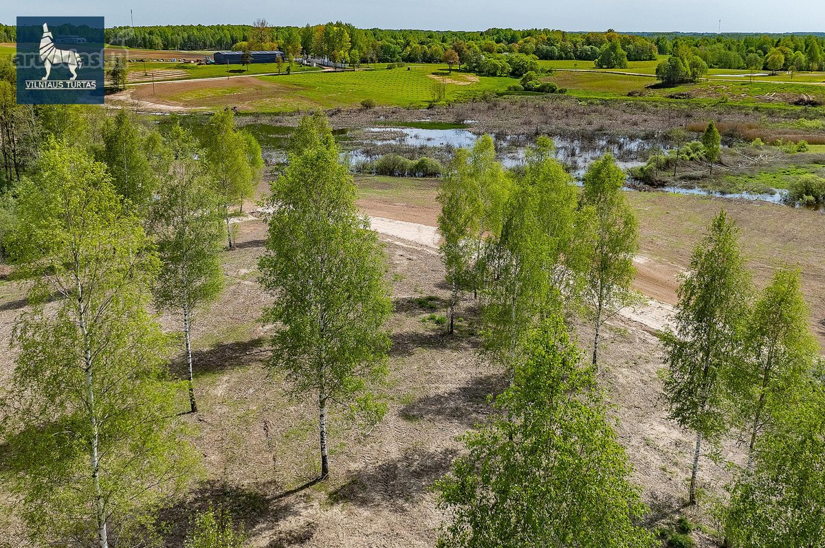 Nuostabus Pasiūlymas Įsigyti Namų Valdas Ir - nuotraukos Nr. 11