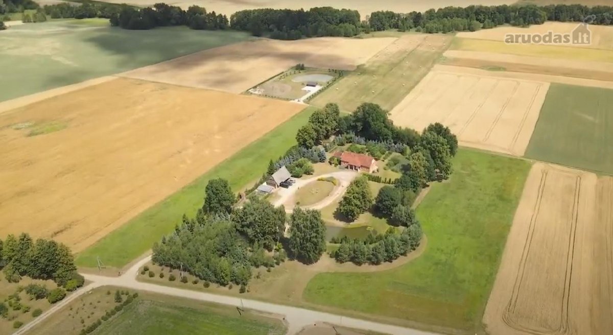 Parduodama Perspektyvi, Ne Vieną Padėkos