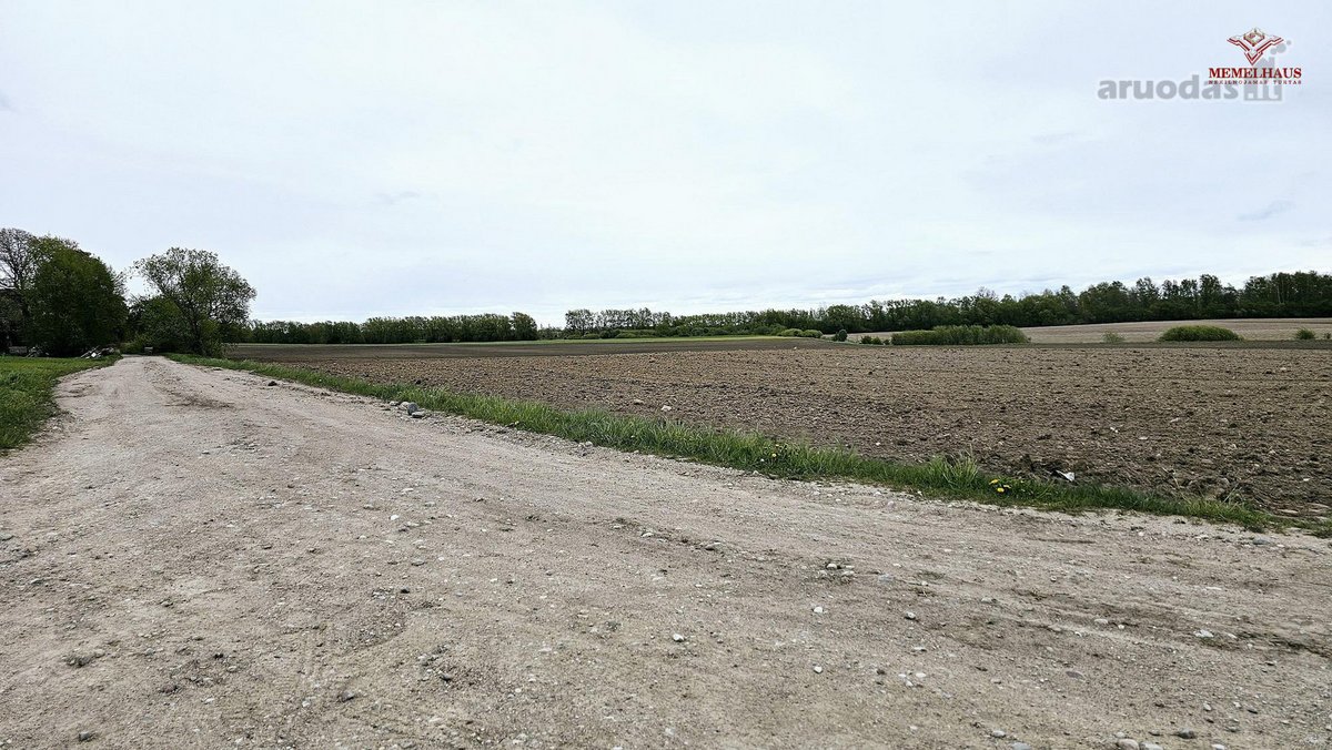 ? Erdvus 66 arų sklypas Peskojuose – vieta - nuotraukos Nr. 11