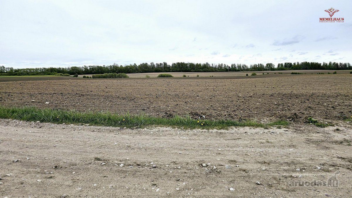 ? Erdvus 66 arų sklypas Peskojuose – vieta - nuotraukos Nr. 12