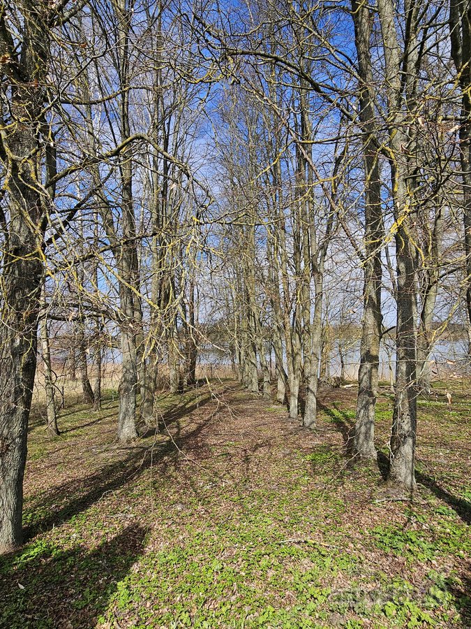 Lazdijų r. sav., Šventežerio mstl. - nuotraukos Nr. 8