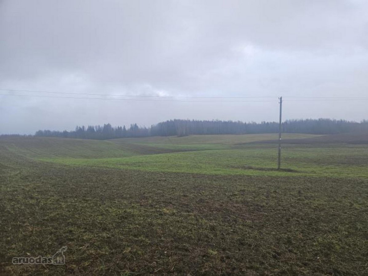 Parduodamas žemės ūkio paskirties sklypas - nuotraukos Nr. 2